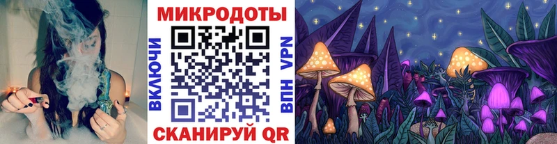 Псилоцибиновые грибы MAGIC MUSHROOMS  Купить закладки  Заозёрск 