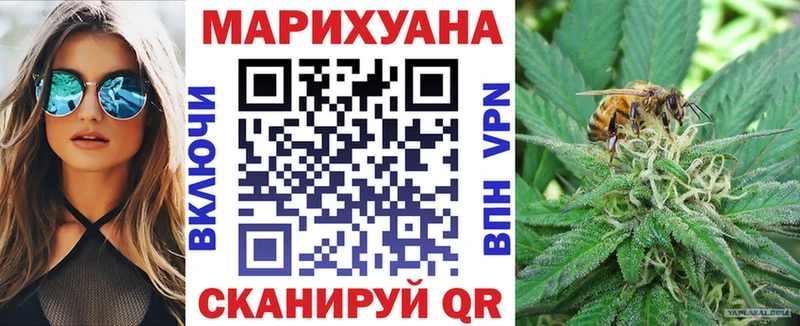 Купить  Заозёрск  Каннабис сатива 